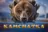 Kamchatka